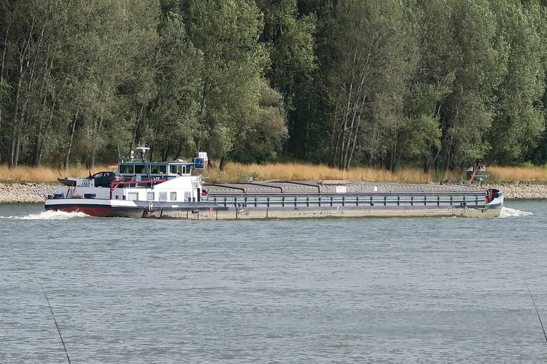 Der Rhein in Bonn: In der Nacht zum Mittwoch musste ein im Wasser treibender Mann von der Feuerwehr gerettet werden. (Symbolbild)