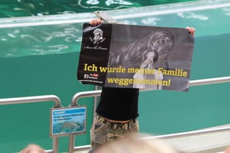 Aktion im Delfinarium: Ein Aktivist hält vor dem Delfinbecken ein Plakat hoch.