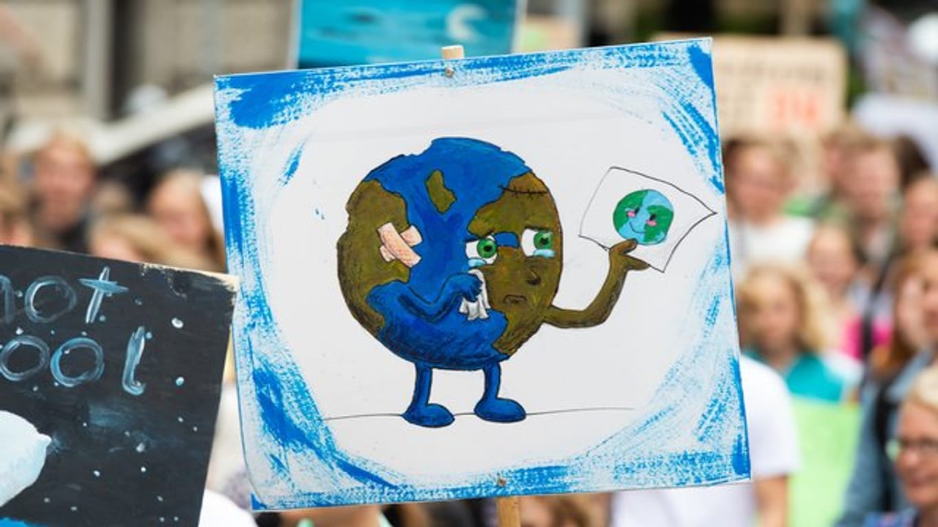 Das Plakat eines Demonstranten zeigt eine weinende Erde: Seit Ende letzten Jahres streiken Schüler in Deutschland freitags für den Klimaschutz. (Archivbild)