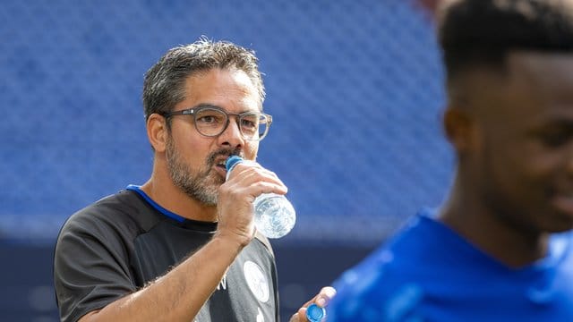 Spürt auf Schalke auch keinen größeren Erfolgsdruck als bei seinem letzten Club in Huddersfield: Trainer David Wagner. Spürt auf Schalke auch keinen größeren Erfolgsdruck als bei seinem letzten Club in Huddersfield: Trainer David Wagner.