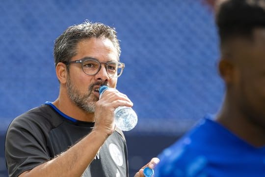 Spürt auf Schalke auch keinen größeren Erfolgsdruck als bei seinem letzten Club in Huddersfield: Trainer David Wagner.