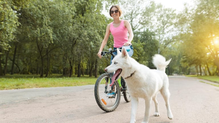 Radtour mit Hund: Auch Hunde freuen sich über eine Radtour und genießen die Abwechslung.