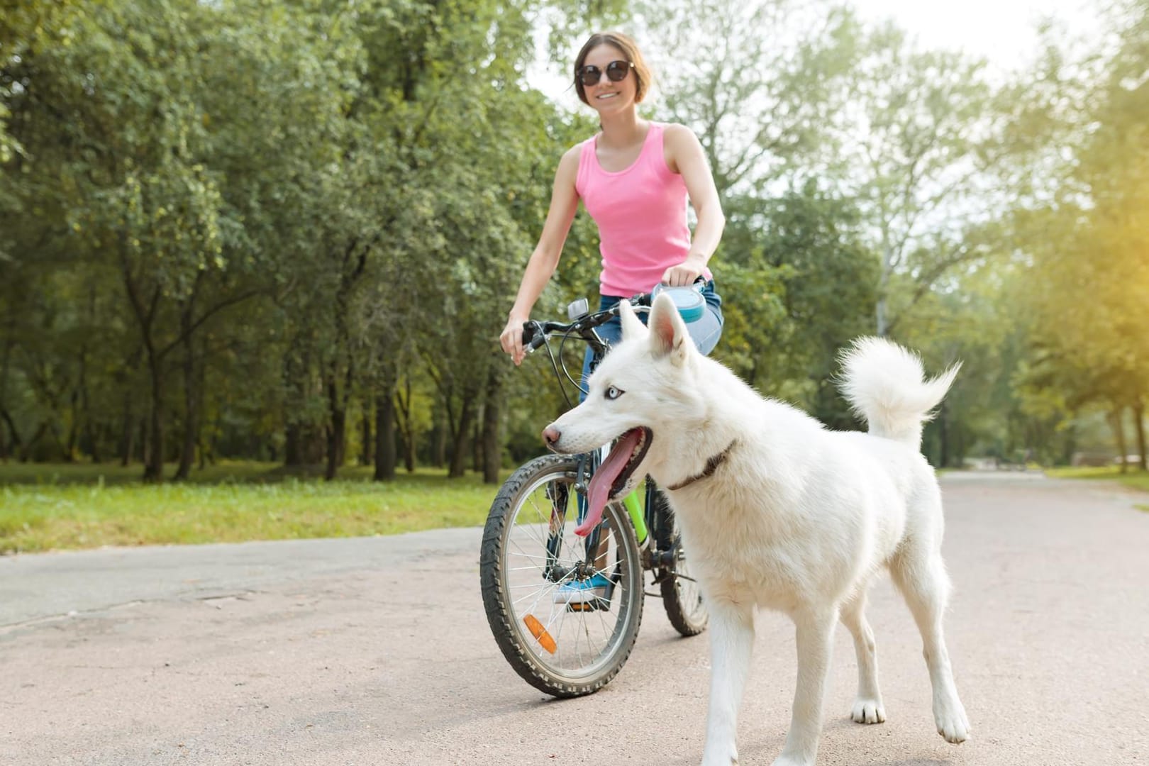 Radtour mit Hund: Auch Hunde freuen sich über eine Radtour und genießen die Abwechslung.