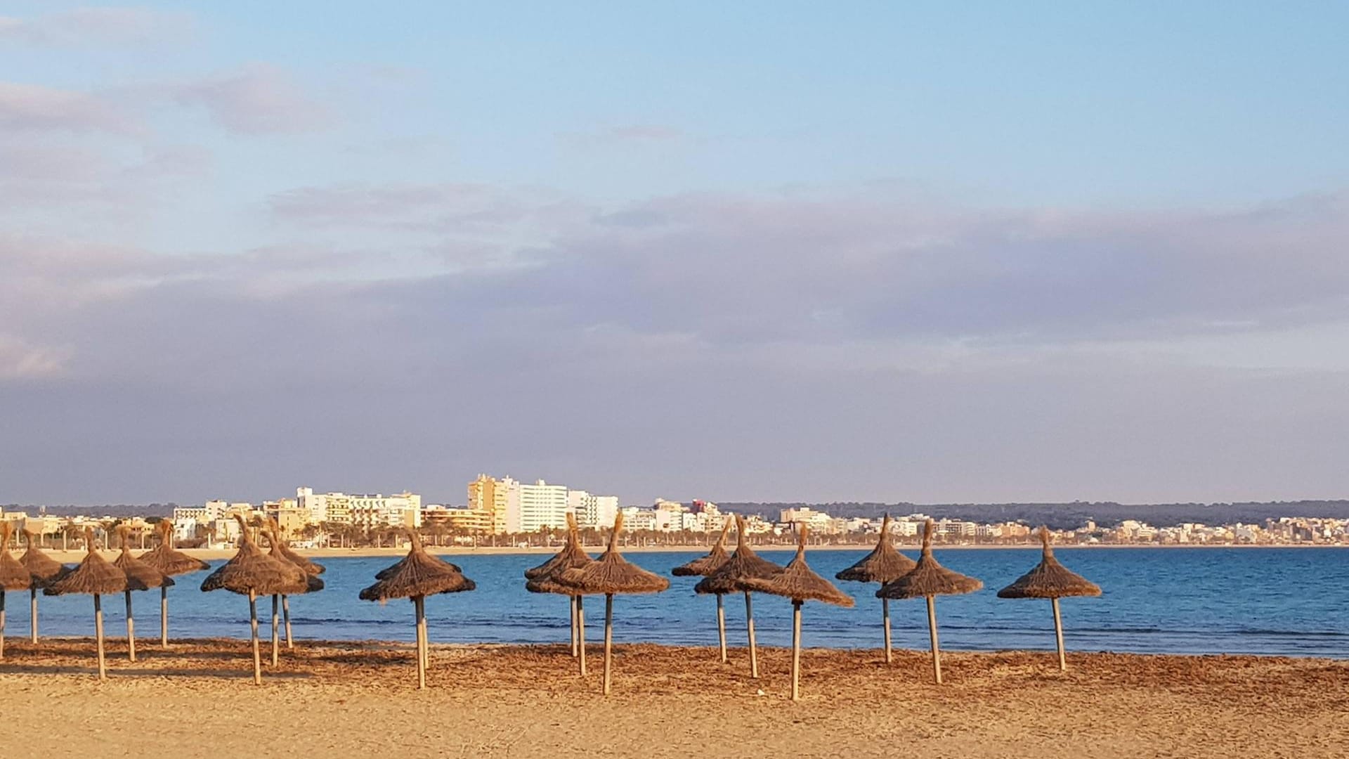Strand von Can Pastilla: Die Fundstelle auf der Höhe von Can Pastilla ist mittlerweile abgesperrt. Strand von Can Pastilla: Die Fundstelle auf der Höhe von Can Pastilla ist mittlerweile abgesperrt.
