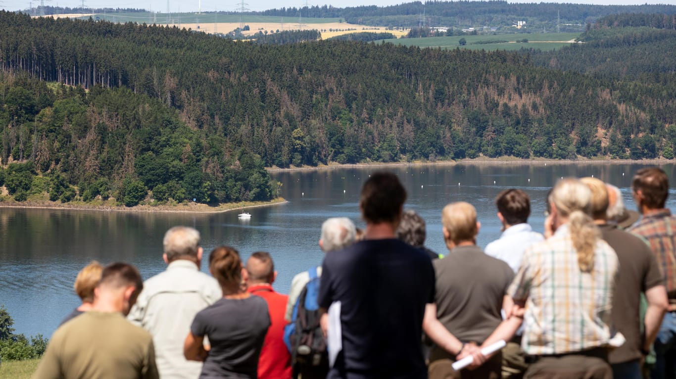 Treffen des Thüringer Forstvereins: Mitglieder betrachten an der Bleiloch-Talsperre zahlreiche kranke Bäume. (Archivbild)