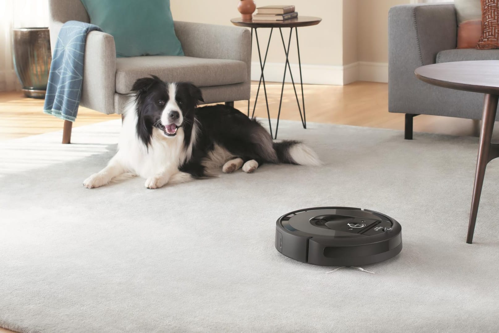 Ein Roomba saugt ein Wohnzimmer, in dem ein Hund sitzt: Die Firma iRobot hat weltweit etwa 25 Millionen Haushaltsroboter verkauft.