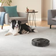 Ein Roomba saugt ein Wohnzimmer, in dem ein Hund sitzt: Die Firma iRobot hat weltweit etwa 25 Millionen Haushaltsroboter verkauft.