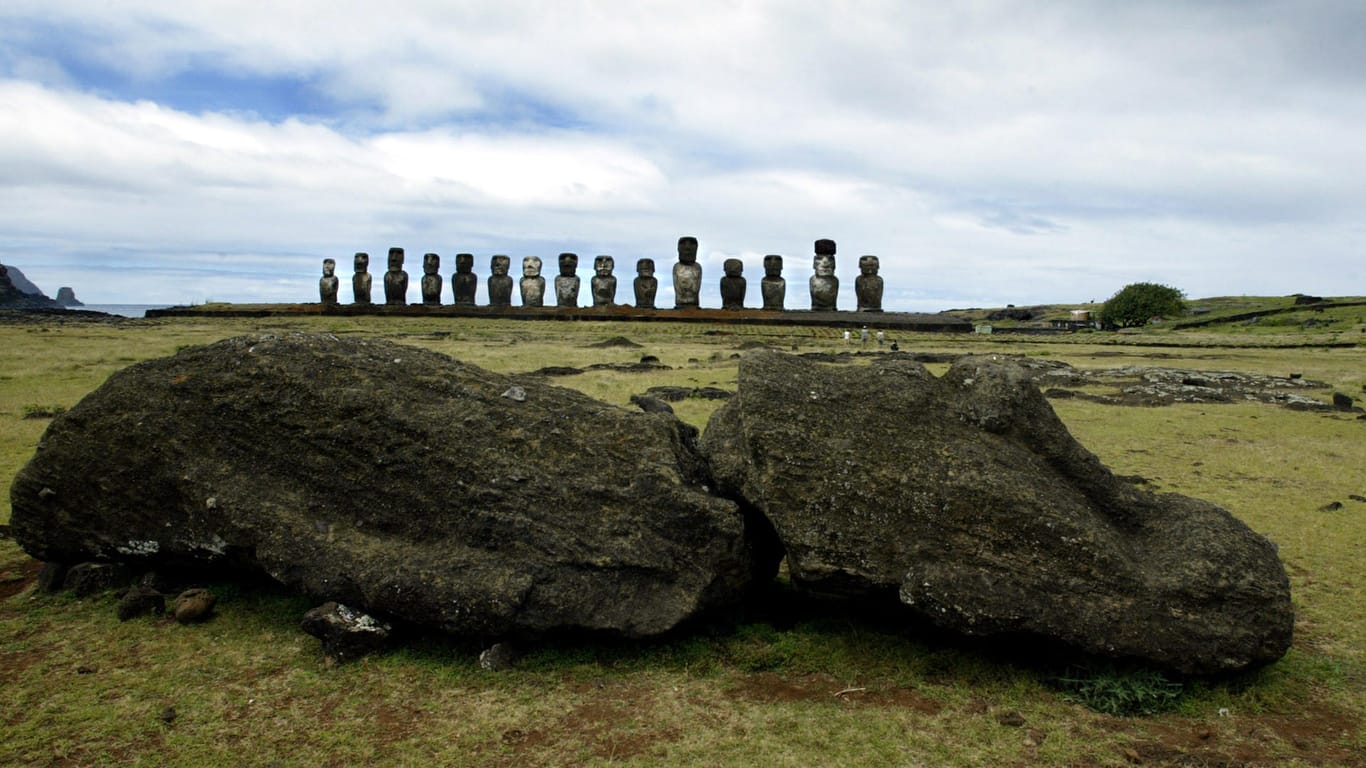 Einige der Moai-Statuen auf der Osterinsel: Die Menschen auf der Insel fällten einst alle Bäume – und zerstörten sich damit selbst die Lebensgrundlage.