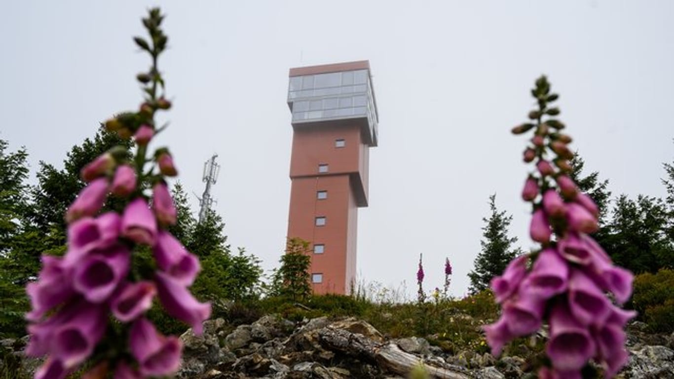 Der neue Wurmberg Turm bei Braunlage soll Mitte August offiziell eröffnet werden.