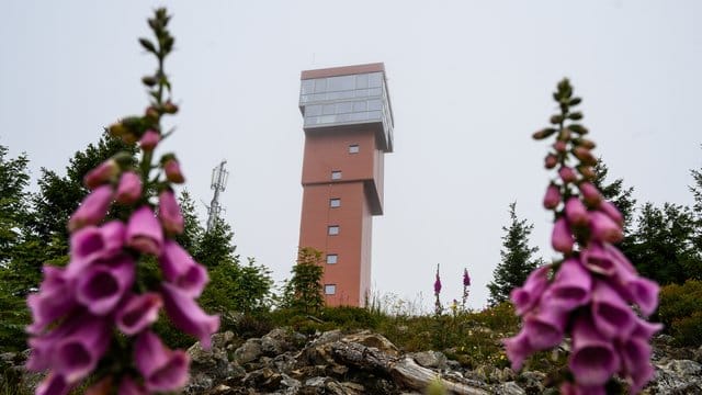 Der neue Wurmberg Turm bei Braunlage soll Mitte August offiziell eröffnet werden.