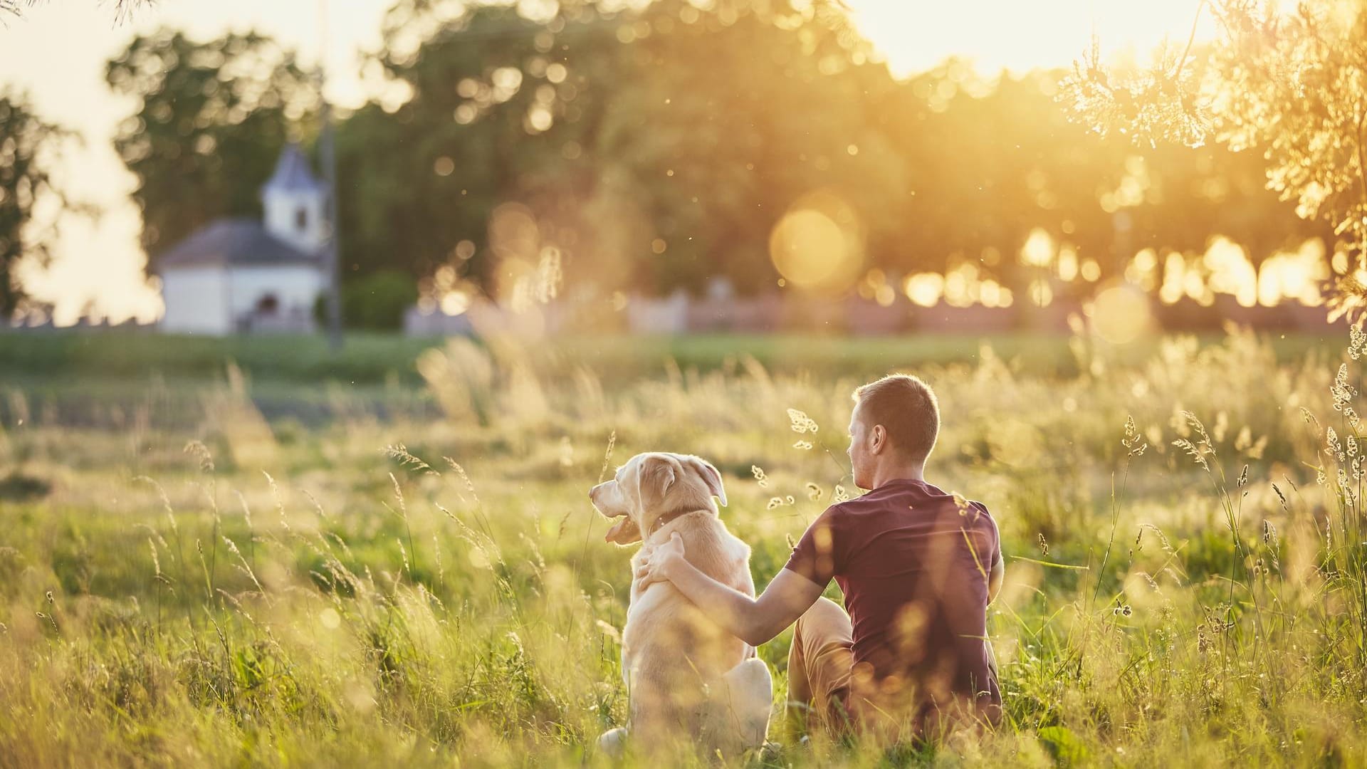 Mann mit Hund im Freien: Im Sommer lockt das gute Wetter Hund und Vierbeiner nach draußen.