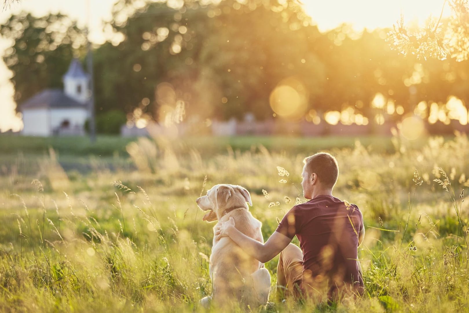 Mann mit Hund im Freien: Im Sommer lockt das gute Wetter Hund und Vierbeiner nach draußen.