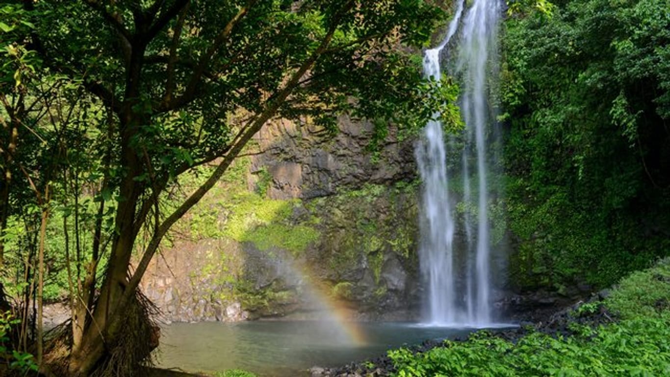 Der Luara-Wasserfall auf der Insel Bioko in einer Szene der Dokumentation "Afrikas geheimnisvolle Welten".