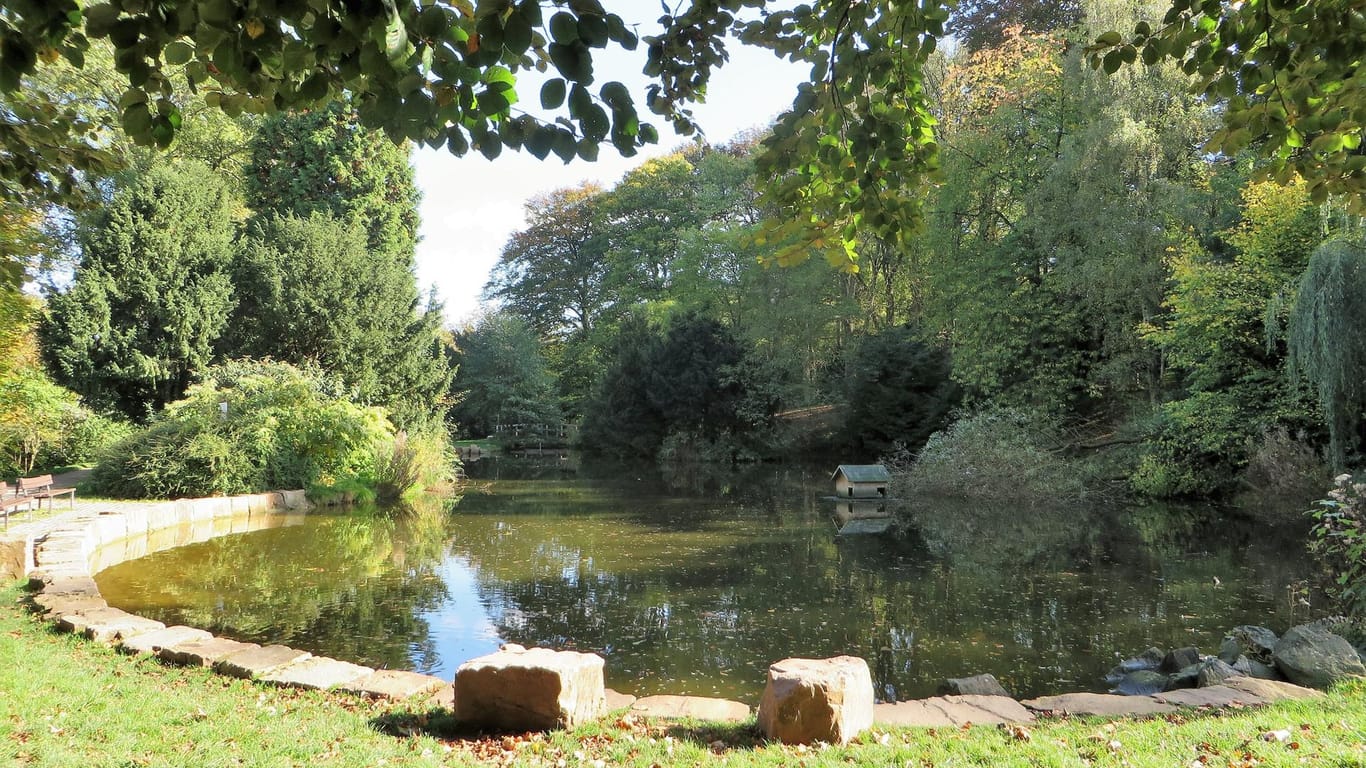 Stadtgarten in Hagen: Hier gibt es eine tolle Grünfläche und einen schönen Teich.
