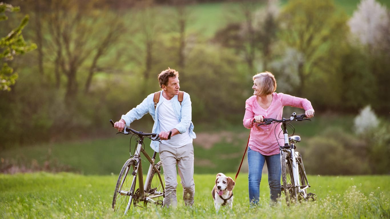 Fahrradtour mit Hund: Erkunden Sie und Ihr vierbeiniger Freund schöne Strecken in der Natur mit dem Fahrrad.