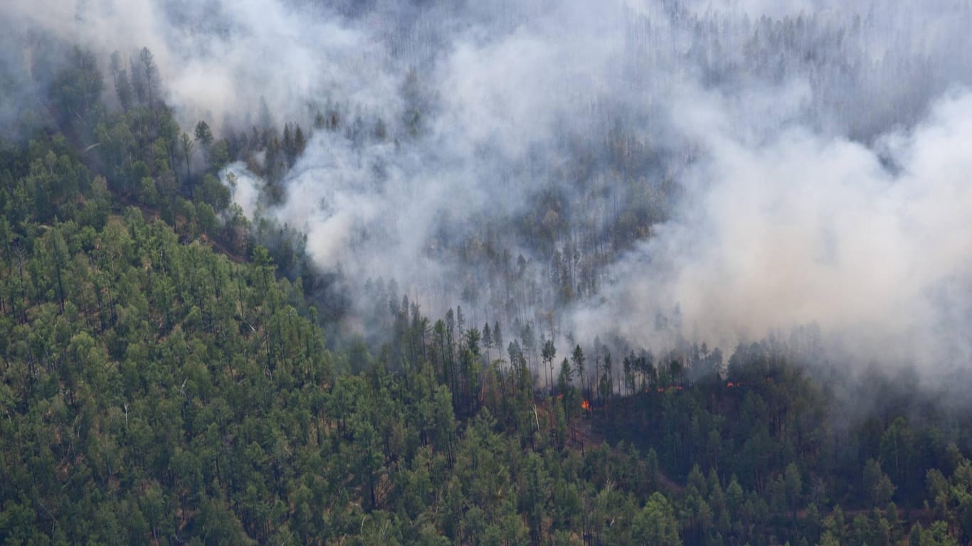 Waldbrände in Sibirien: Die russische Feuerwehr bekämpft nur noch Brände, die Dörfer und Städte direkt bedrohen.