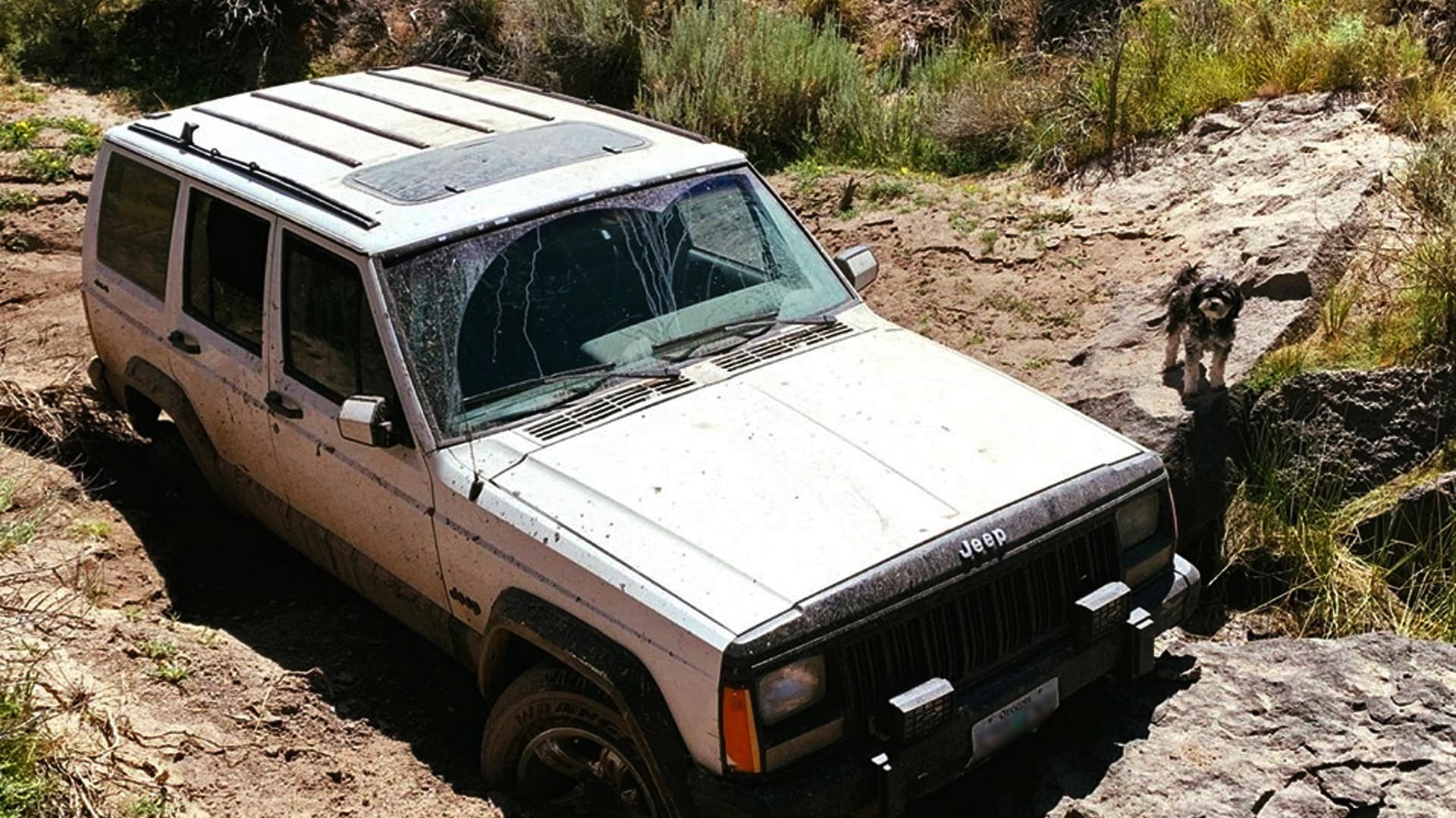 Hund und Jeep in der Hochwüste: Vier Tage lang irrte der Mann durch die öde Landschaft. Als er entdeckt wurde, schwebte er in Lebensgefahr.