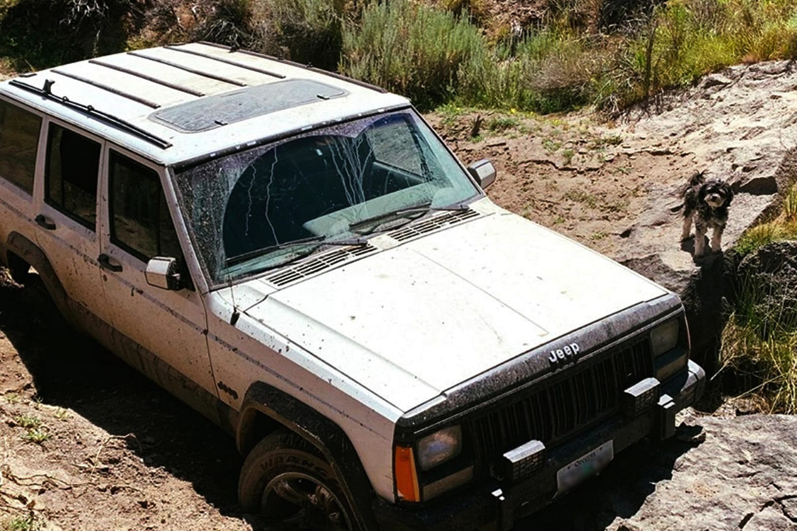 Hund und Jeep in der Hochwüste: Vier Tage lang irrte der Mann durch die öde Landschaft. Als er entdeckt wurde, schwebte er in Lebensgefahr.