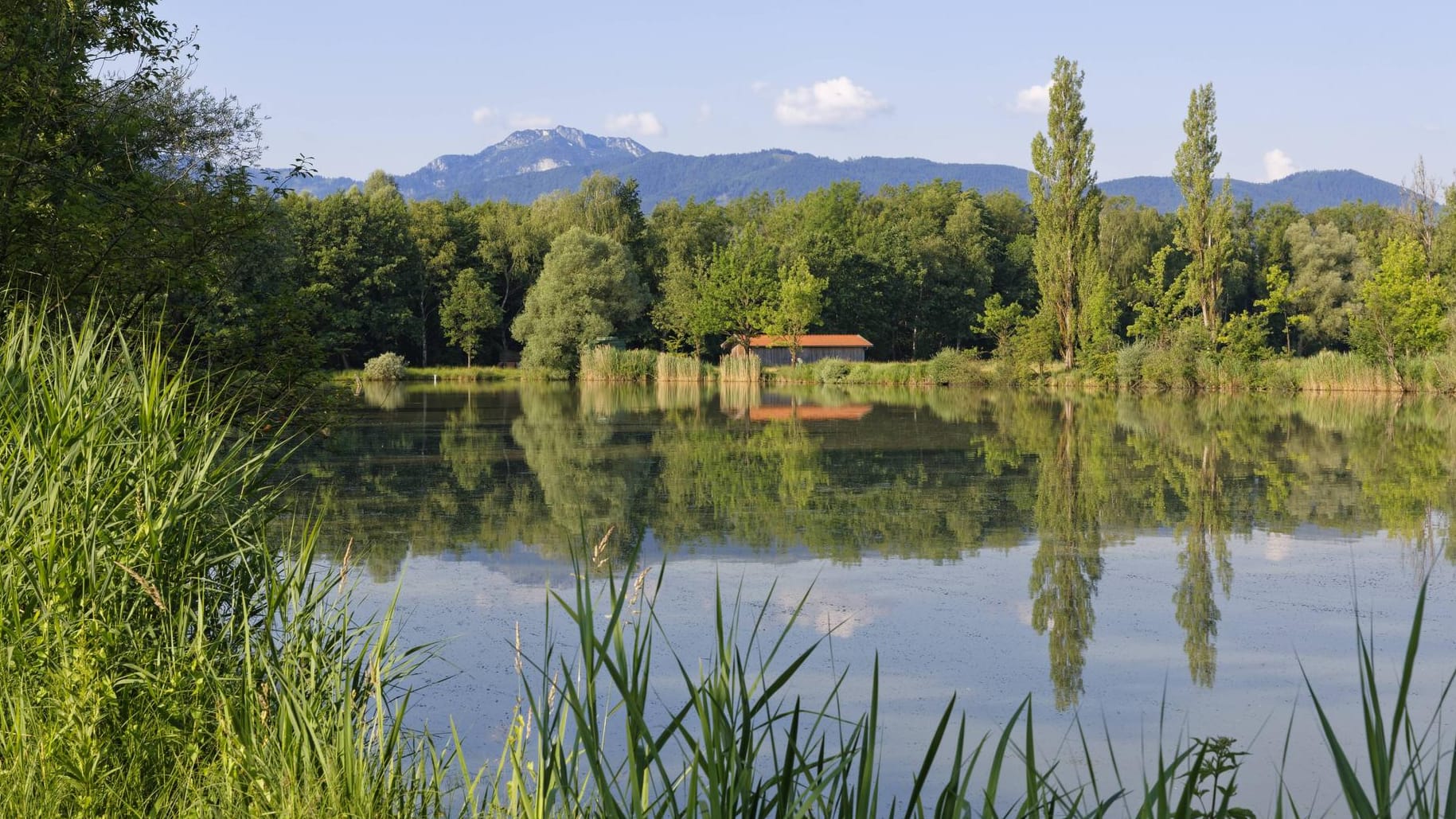 Badesee in Raubling in Oberbayern: Ein Teenager hat bei einem Badeunfall seinen Arm verloren.