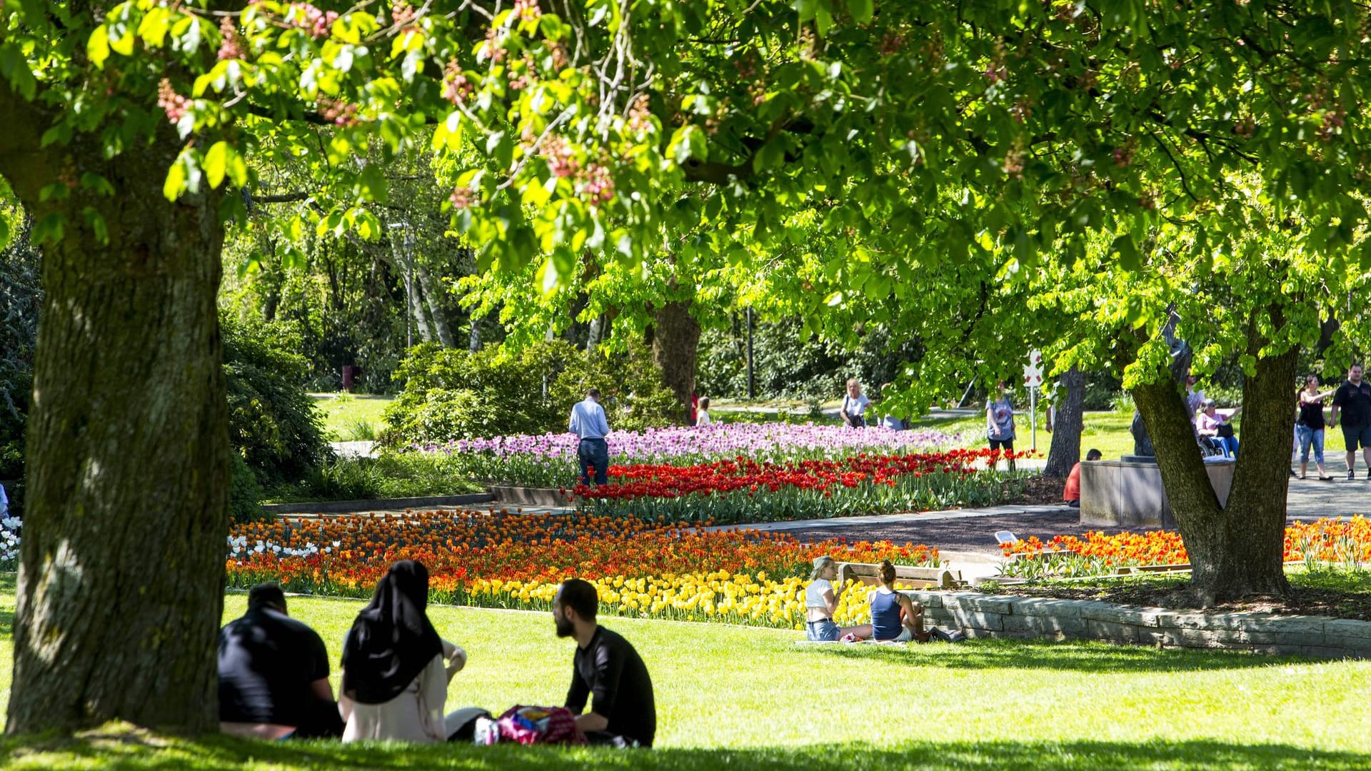 Der Grugapark in Essen wird von rund einer Million Menschen im Jahr besucht.