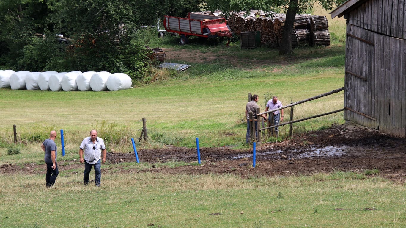 Polizisten in Zivil stehen auf einer Weide, auf der zuvor ein Stier zwei Menschen getötet hatte.