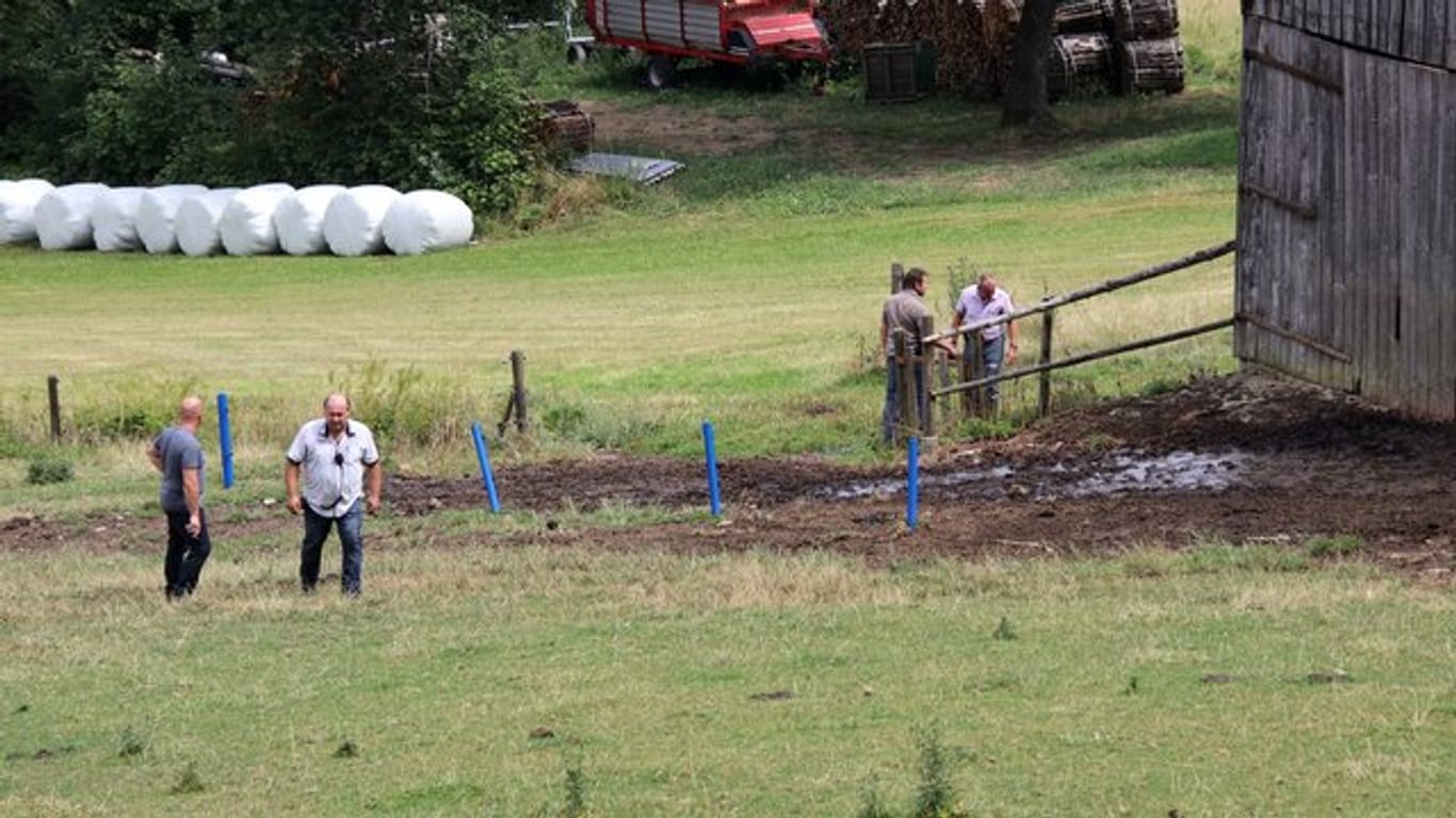 Polizisten in Zivil stehen auf einer Weide, auf der zuvor ein Stier zwei Menschen getötet hatte.