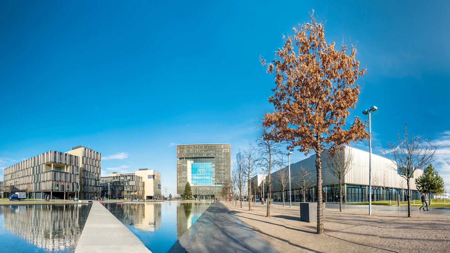 Das Hauptquartier von Thyssenkrupp. Die 68 Bäume der Allee stammen aus fünf Kontinenten.