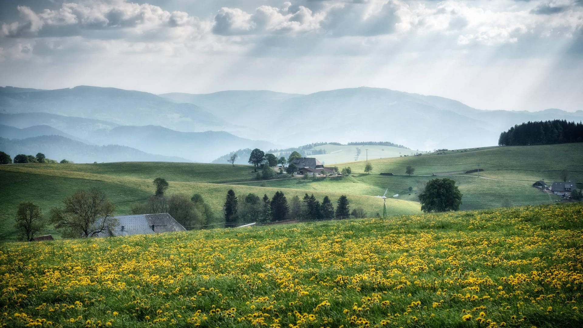 Ausblick im Schwarzwald: Karlsruhe nennt man auch das "Tor zum Schwarzwald".