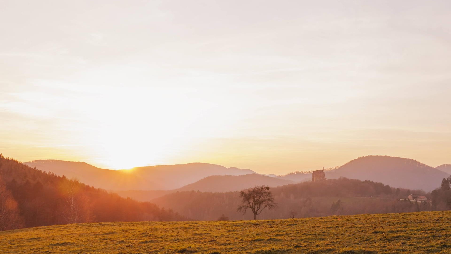 Parc Naturel Régional des Vosges du Nord: Ein beliebter Naturpark im angrenzenden Frankreich.