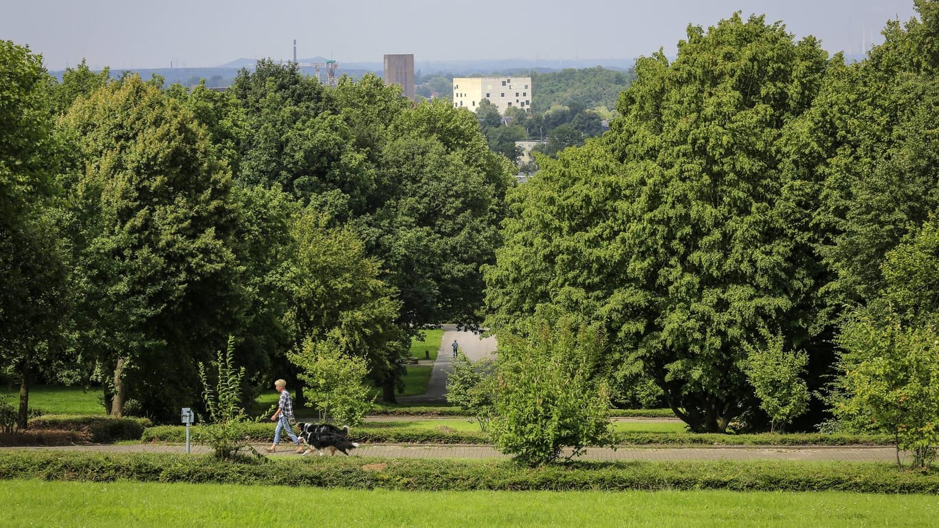 Der 30 Hektar große Hallopark mit schöner Grünfläche liegt in der Nähe der Zeche Zollverein.