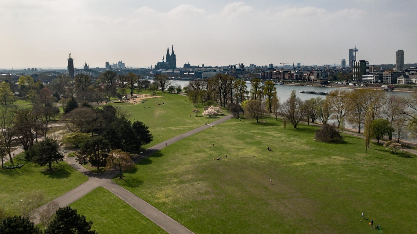Der Rheinpark in Köln ist aufgrund seiner zentralen Lage am Rhein bei Einheimischen und Touristen sehr beliebt.