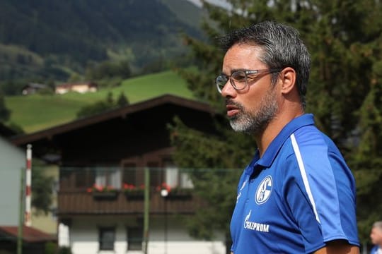 Hält sich mit Zielvorgaben für die Saison noch zurück: Schalkes Trainer David Wagner.