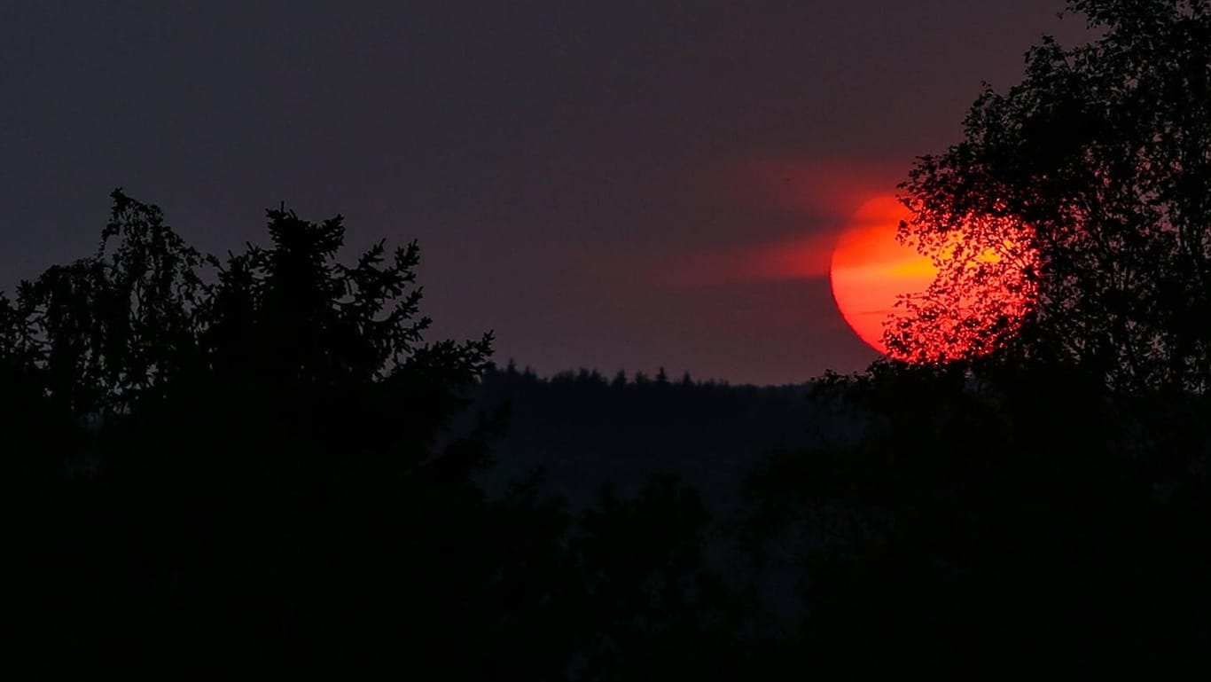 Sommer im Siegerland: Den extremen Temperaturen in der vergangenen Woche zum Trotz ist der Juli insgesamt kein Rekordmonat in Sachen Hitze.