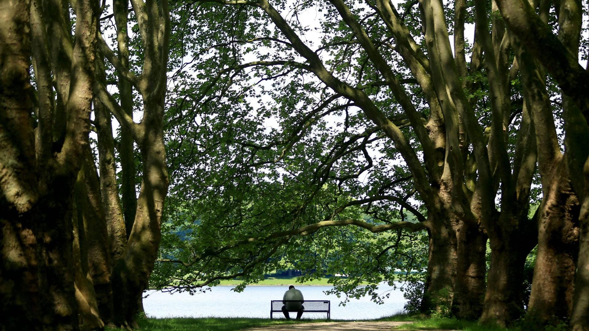 Der Stadtwald ist mit dem Lindenthaler Tierpark vor allem für Familien mit Kind ein beliebtes Ausflugsziel.