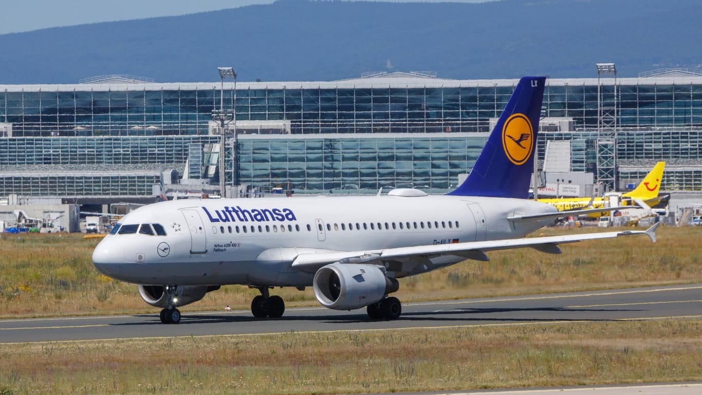 Airbus der Lufthansa: Die Lufthansa-Führung hatte bereits im Juni ihre Gewinnprognose für 2019 gekappt.