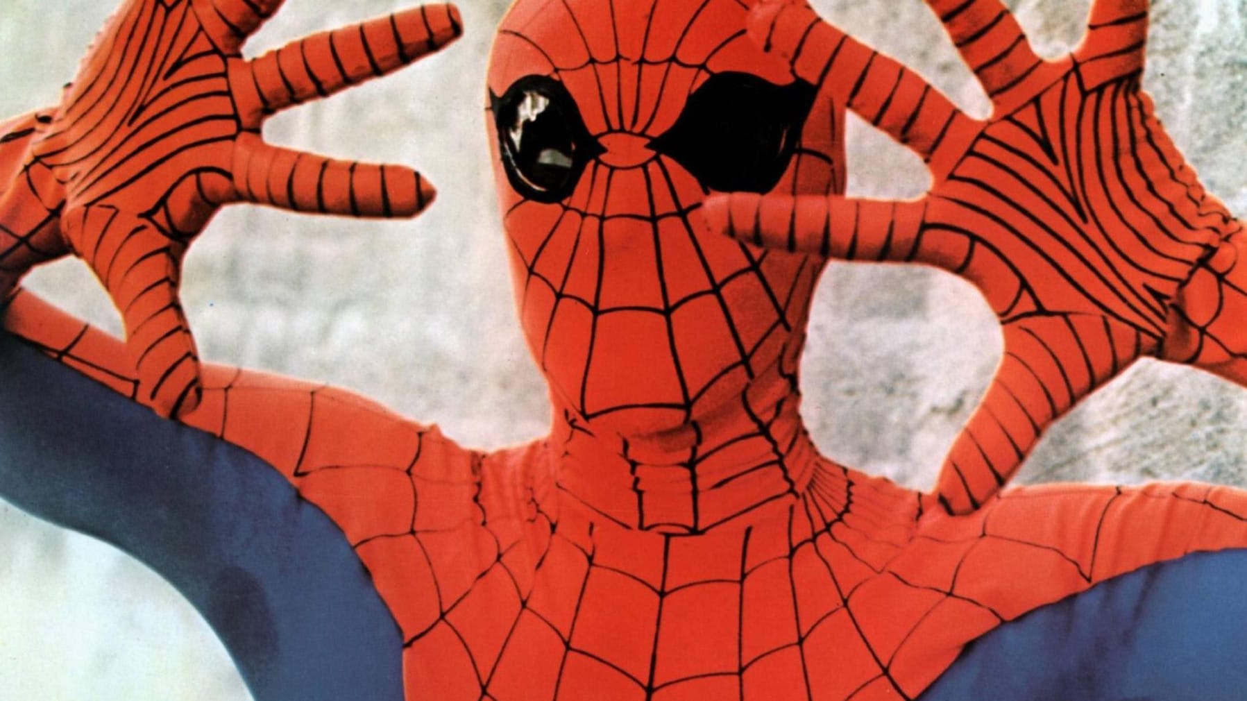 Spider-Man: Ein Möchtegern-Superheld hat stundenlang den Bahnvekehr zwischen Prag und Berlin behindert. Spider-Man: Ein Möchtegern-Superheld hat stundenlang den Bahnvekehr zwischen Prag und Berlin behindert.