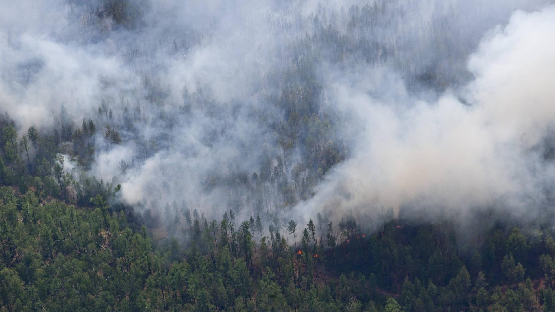 Waldbrand in Sibirien: Die Rauchwolken ziehen bis zur Arktis. (Archivbild)