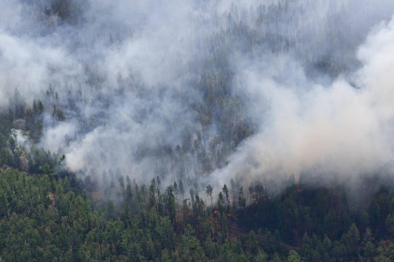 Waldbrand in Sibirien: Die Rauchwolken ziehen bis zur Arktis. (Archivbild)