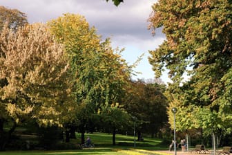 Stadtpark in Mainz: Der Park ist besonders beliebt bei Wanderern und auch Radfahrern.