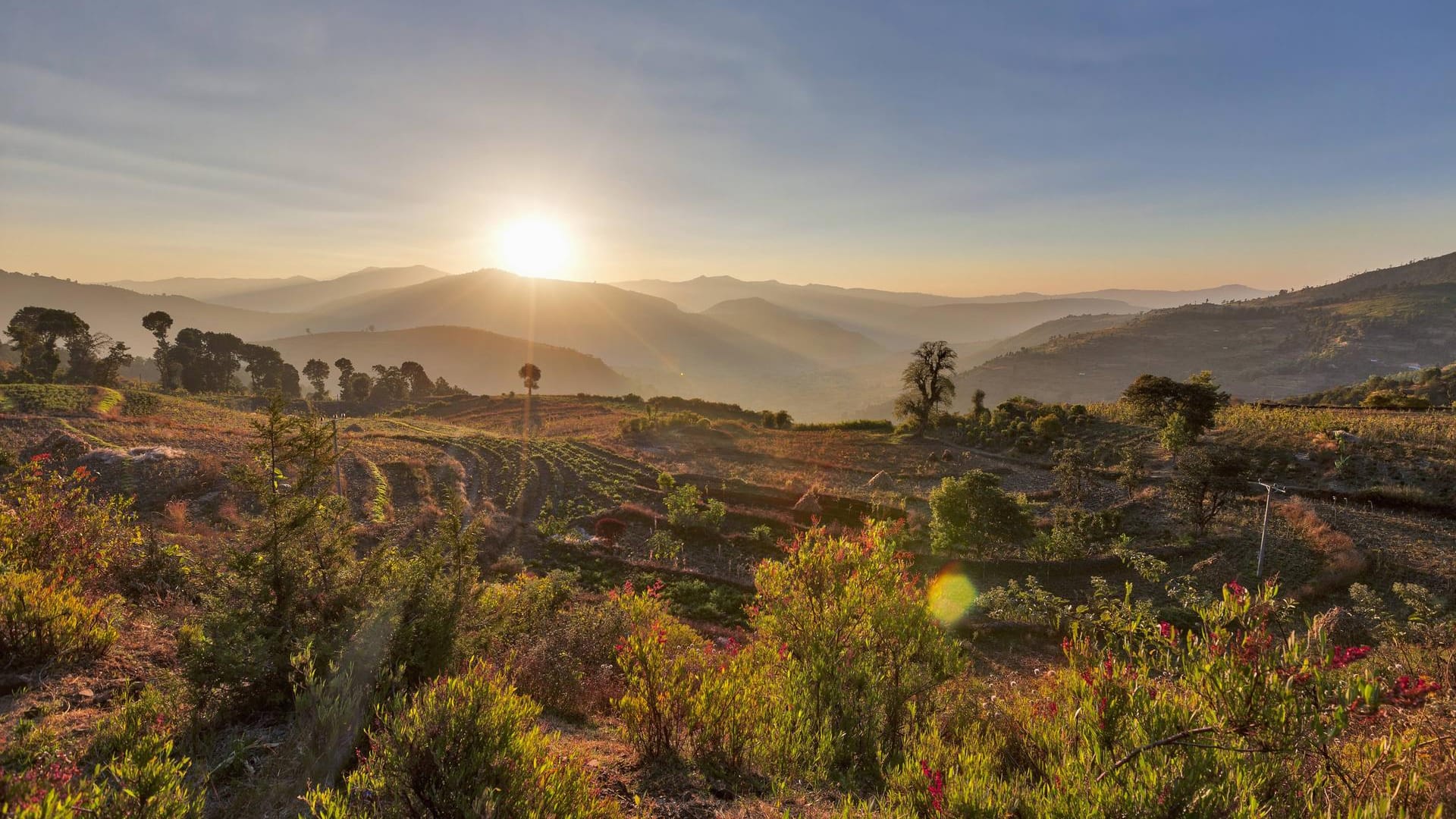 Landschaft in Äthiopien: Die Regierung will wegen der Klimakrise Milliarden Bäume pflanzen.