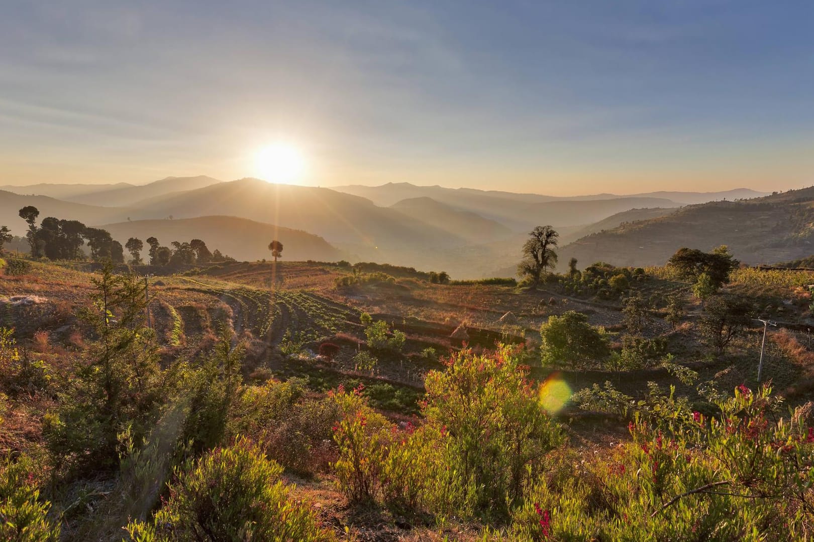 Landschaft in Äthiopien: Die Regierung will wegen der Klimakrise Milliarden Bäume pflanzen.
