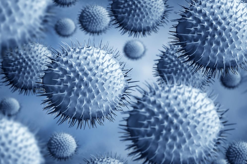 Noroviren: Die Übertragung der Viren erfolgt über eine Schmierinfektion.