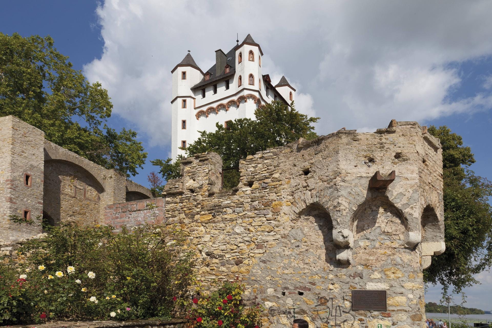 Burg Eltville am Rhein: Die Stadt Eltville ist die größte im Rheingau.