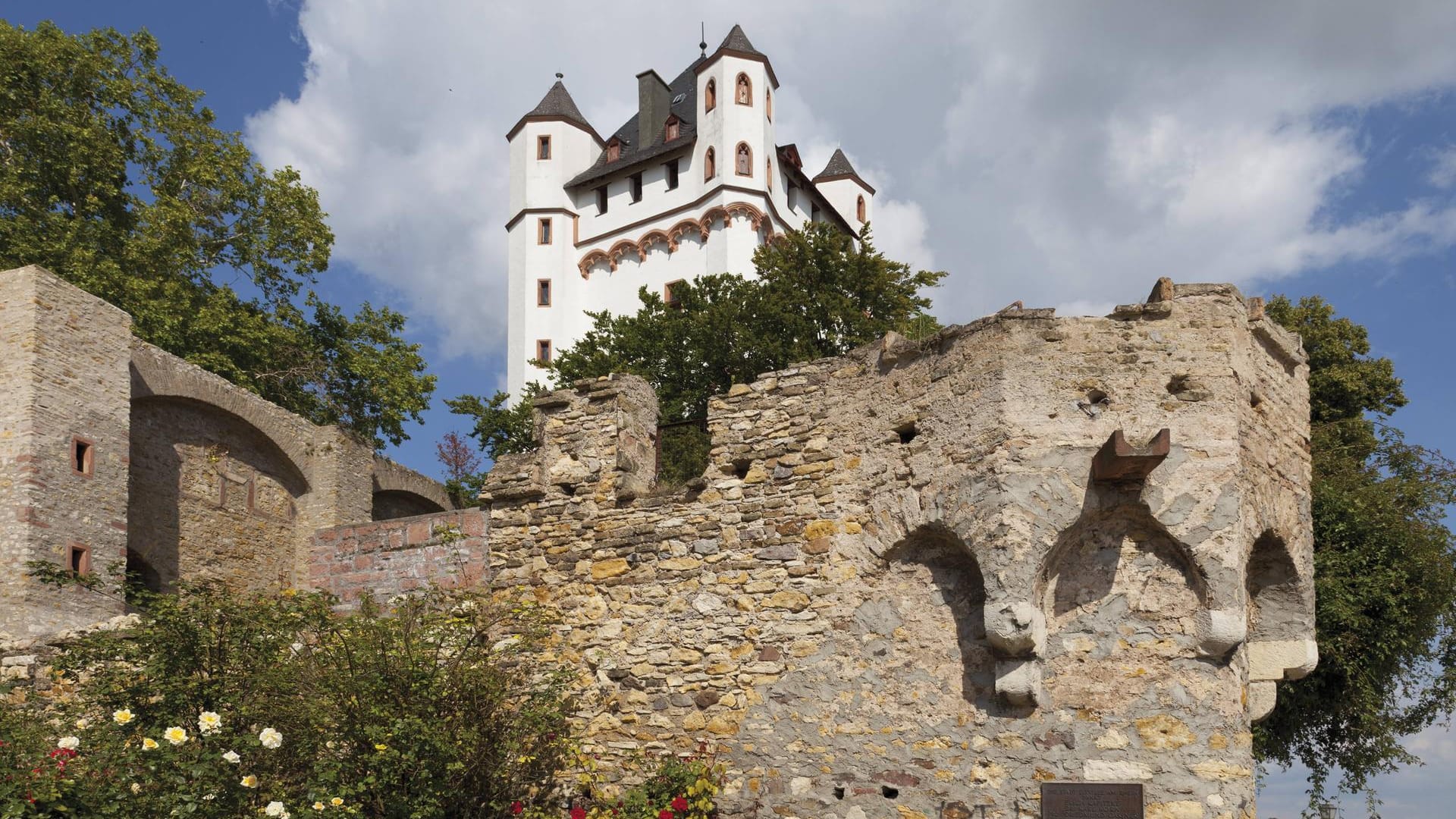 Burg Eltville am Rhein: Die Stadt Eltville ist die größte im Rheingau.