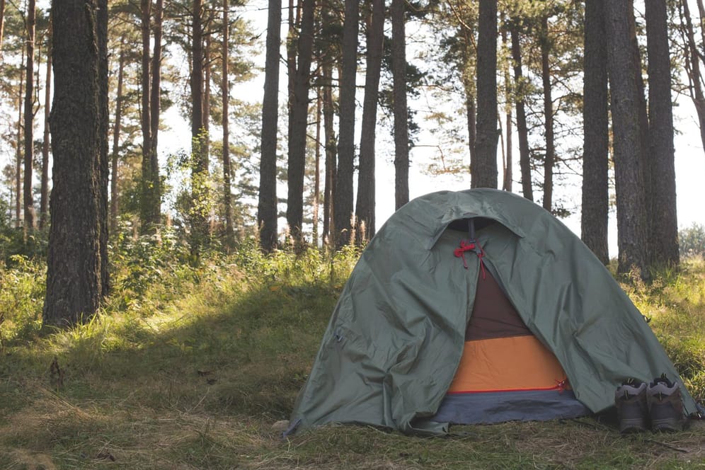 Ein Zelt in einem Wald (Symbolbild): Ein Mann hat in Baden-Württemberg eine erschreckende Entdeckung gemacht. (Symbolbild)