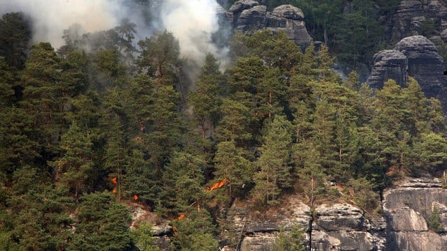 Ein Waldbrand im Nationalpark Sächsische Schweiz.