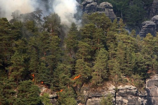 Ein Waldbrand im Nationalpark Sächsische Schweiz.