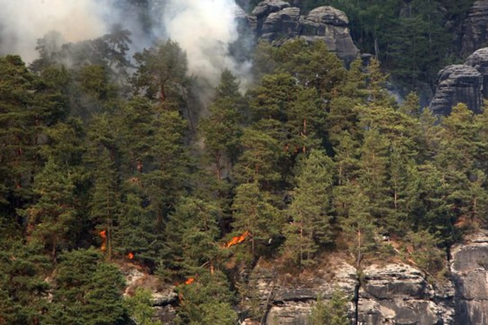 Ein Waldbrand im Nationalpark Sächsische Schweiz.