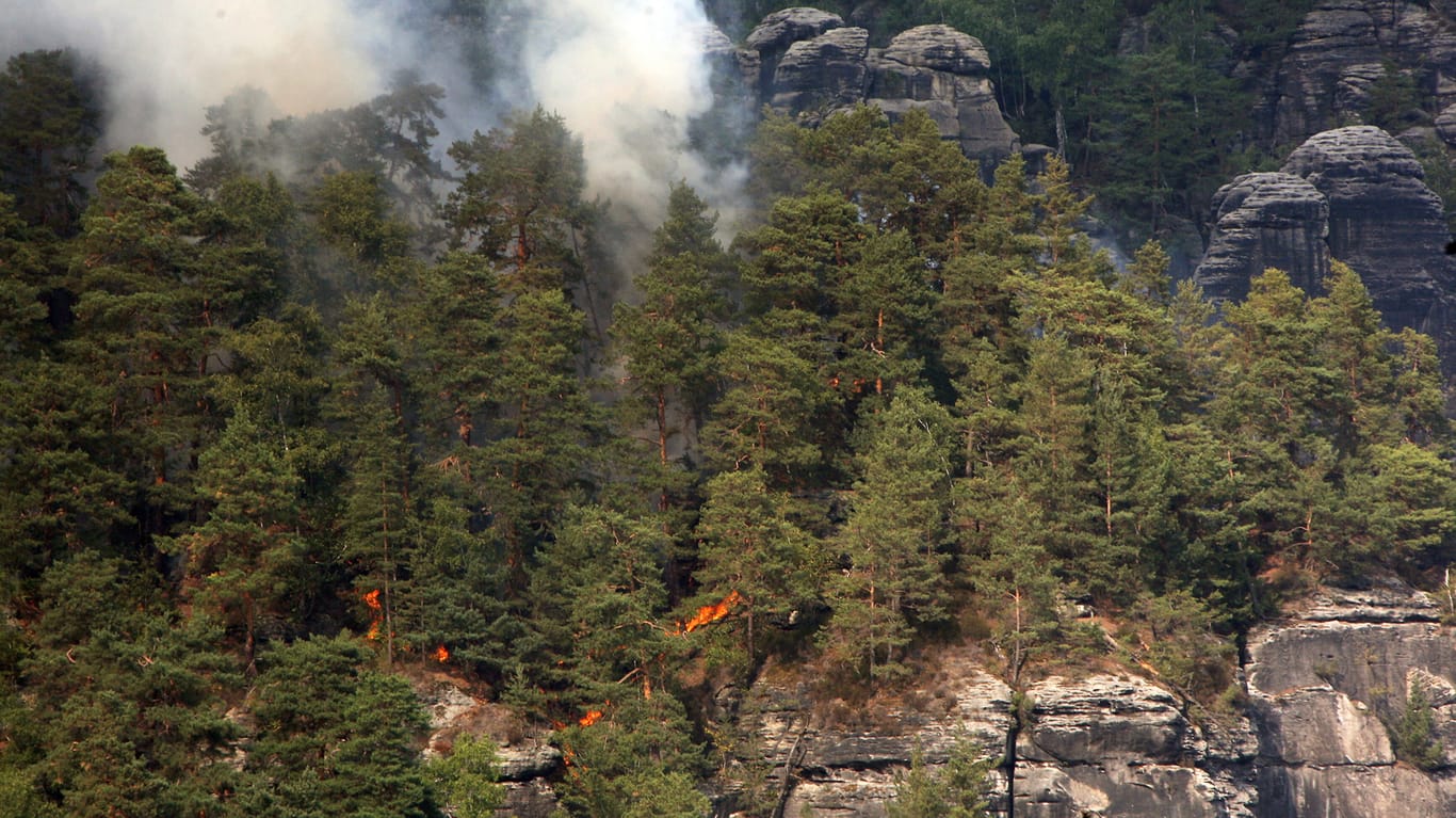 Ein Waldbrand im Nationalpark Sächsische Schweiz.