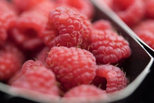 Frische Beeren wie zum Beispiel Himbeeren sollte man waschen, bevor man sie isst, tiefgekühlte Beeren sogar erhitzen.